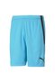 Teamliga Shorts