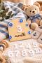 Natural Birch Plywood & Plexiglass Numbered Baby 12 Month Milestone Cards | Photo Shoot Set - 6