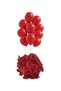 12 inch red balloon 10pcs - 5