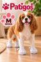 Patigoş Disposable Dog Paw Covers Hygienic Paw Covers for Small Breeds (Size m)