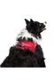 Air-mesh small and medium breed cat dog chest strap soft, breathable, durable bright red - 9