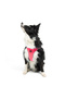 Air-Mesh Small and Medium Breed Cat and Dog Chest Harness Soft, Breathable, Durable Neon Pink - 8
