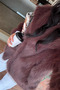 Women's Lined Fur Short Coat - 6