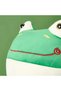 Plush Pillow with Frog Figure - Green - 35X20 cm - 4