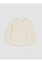 Peak New Season Brown Embroidered Velvet Dress for Baby Girls. - 5