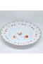 30 cm Large Size Chicken Enamel Bowl Fruit Bowl Presentation Plate - 4