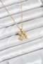 316L Steel Chain Gold Color Boy Girl Model Women's Necklace - Tj-Bko10617