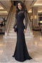 High Collar Beyoğlu Stone Detailed Tulle Sleeves Slitless Fishnet Evening Dress - 6