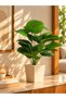 Artificial Plain Monstera Plant 75 cm – 18 Leaves – Indoor & Outdoor – Plant Only, No Pot - 5