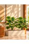 Artificial Lines Monstera Plant 75 cm – 18 Leaves – Indoor & Outdoor – Plant Only, No Pot - 2