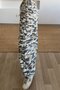 Gray Camouflage Patterned Cargo Pocket Trousers - 5
