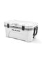 Special Production Useful Nature Outdoor Plano Frost Cooler 32Qt Ice Cooler Bag 30Lt - 3