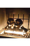 A terrifying new fire pit in the shape of a human skull, fire-resistant, made of ceramic, durable and reusable, skull-shaped fire stones for Halloween, suitable for fire pits and camping stoves - 4