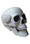 Festival Decoration Skull Skeleton Skull Head Realistic Looking Fake Skull Decor for Home Table Party Bar Decor Props Plastic