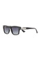 Ds 2568 C2 Men's Sunglasses