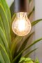 مصباح LED خيطي قابل للتعتيم بقوة 8.5 واط موفر للطاقة - 6