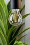 مصباح LED خيطي قابل للتعتيم بقوة 8.5 واط موفر للطاقة - 5