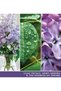 YANKEE CANDLE Lilac Blossoms Jar Candle 567grams - 2 wick Scented candle 20oz | 65 hrs burn-time | P - 5