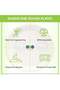 SNH Packing Eco Friendly Bagasse Biodegradable Plate 10 Inch Disposable - 5