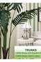 MirageBotanics Artificial Palm Tree - Fake Tree with White Tall Planter - Faux Tropical Areca Floor - 5