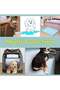 TYCOM Dog and Puppy Training Pads 50 Pack Disposable Dog Pee Pads Ultra Absorbent and Leak Proof Pet - 4