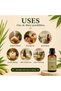 ALIF NATURALS Lemongrass Essential Oil - 30 ml | 100% Pure and Natural | Premium Grade Essential Oil - 5