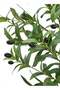 Zvezvia Premium Artificial Olive Tree with Twisted Trunk & Realistic Fruits for Indoor Home & Office - 5