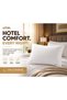 GORA Bed Pillow Set of 2, Hotel Pillow for Bed, 50 × 70 cm Sleeping Pillows, Hollow Fiber Filling, C - 5
