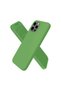 Apple iPhone 12 Pro Max Case First Silicone - Green