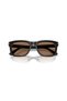 Ea 4282U 501773 54 Sunglasses - 5