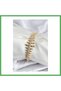 Brass Vip Series Gold Color Row Drop Model Women's Bracelet Bezoss