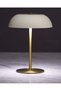 Rich Life 21CM Rechargeable Cordless LED Desk Lamp White | Portable Metal Table Lamp with 3 Color - 5