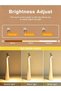 Ceamere Portable LED Table Lamp, Touch Control LED Table Lamp, Modern Design Table Lamp - 4