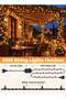 MODI 2-Pack 50m 480 LED String Lights, Warm White, Waterproof for Home Decor & Events - 3