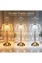 Circuit Green Rechargeable LED Table Lamp 3000mAh – 3-Color Touch Control Dimmable Metal Lamp - 2