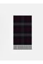 Esvab • Modern & Distinctive Checkered Embroidered Men's Scarf - 2