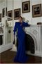 Bicycle-Style Dress with Sleeves, Evening Gown Collar, Fishtail, Long Cut · Color: Cobalt · Size: M BX
