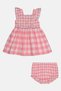 Toddlers Girl 2 Pcs Checkered Dress With Underwear Set, Multicolor - 2