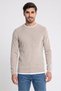 Men Crew Neck Textured Sweater, Beige