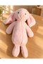 Rabbit Plush Companion Pink - 2