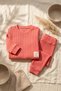 Baby and Child Pomegranate Flower Cotton Ribbed Set - Soft Textured Set of Two with Shoulder Snaps - 6