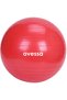 Special Series Exercise Sports Equipment Fitness Equipment Bpt-55 Red 55 cm Plates Ball Bag Packaging Red - 2