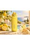 The Wellspring Bottle 0.7 Liter Colorful - 2