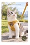 Pet Teddy Bear Patterned Plaid Chest Harness - Set Leash