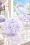 Banlif Ponpon Bath Loofah Purple 30 Gr, Soft Shower Sponge 3-Piece Advantage Set - 4