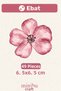 Dried Rose Flowers 49 Pieces Modern Wall Sticker Set Mnb-111 - 4