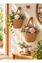 Basket Mini Decorative Basket 2-Piece Flower Pot (Plants and Wooden Hangers Not Included)