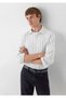Striped Shirt Regular Fit / Normal Cut 0212095-91694 - 2