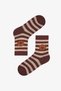 Boy's Brown Brownie Bears Bear Patterned Cotton 4-Pair Socks - 3