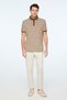 Men's Light Brown Trendy Fish Back Striped Polo Collar Dynamic Fit Tshirt - 5